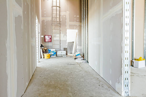 Best Drywall for Remodeling  in New London, MN